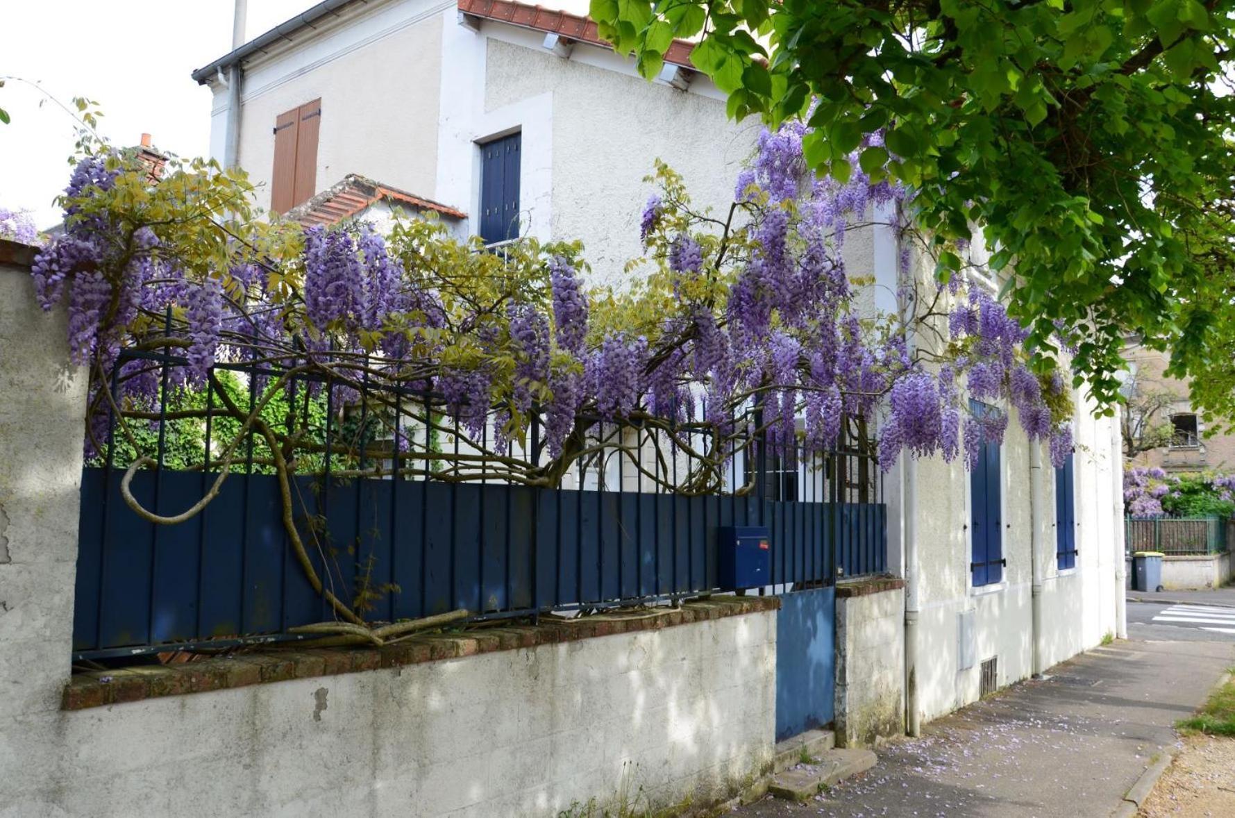 Bleautiful "Eugenie" Charmante Maison De Ville Fontainebleau Dış mekan fotoğraf